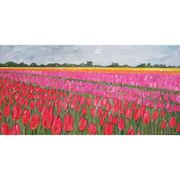 Nr. 161 (140 x 70 cm) Tulpenbollenveld